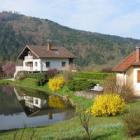 Village De Vacances Saint Maurice Sur Moselle: Villa Les Chevreuils 