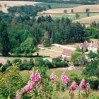 Village De Vacances Bourgogne: Maison De Vacances La Maison Du Chateau 