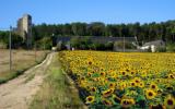 Maison France: Domaine De Cessigny (Fr-37500-05) 