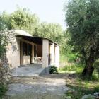 Village De Vacances Lingueglietta: Casa Olivo 