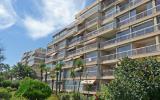 Appartement Provence Alpes Cote D'azur: Cannes Midi Fr8650.445.4 