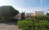 Maison Languedoc Roussillon Swimming Pool: Fr6665.200.3 