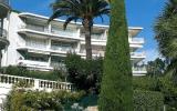 Appartement Cannes Provence Alpes Cote D'azur Sauna: Fr8650.365.1 
