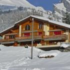 Appartement Valais Swimming Pool: Appartement Les Muriers 