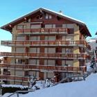 Appartement Nendaz Swimming Pool: Appartement Ambassador Ii 