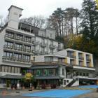 Appartement Suisse Sauna: Appartement Alpicana & Metropol 