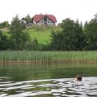 Maison Pologne Swimming Pool: Maison 