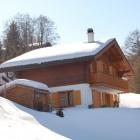 Maison Suisse Sauna: Maison Des Ours 