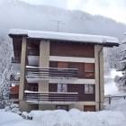 Appartement Champex Pets Allowed: Appartement Arola 