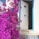 Appartement Tunisie: La Maison Des Fleurs Recouverte D'un Bougainvillier ...