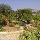 Maison Corse: Villa Grand Standing Dans Un Site Exceptionnel 