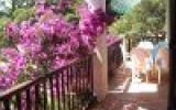 Maison Corse: Grande Maison Avec Jardin 