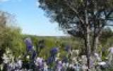 Maison Avignon Provence Alpes Cote D'azur: Charmant Mas Ancien Dans Un ...