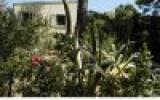 Maison Giens: Grande Villa -Jardin Clos Calme- Mer 150M + Bateau En Option 
