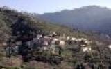 Maison Nessa Corse: Maison De Village Renovée Avec Jardin 