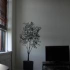 Appartement New York: Lower East Side/east Village Great Apartment 